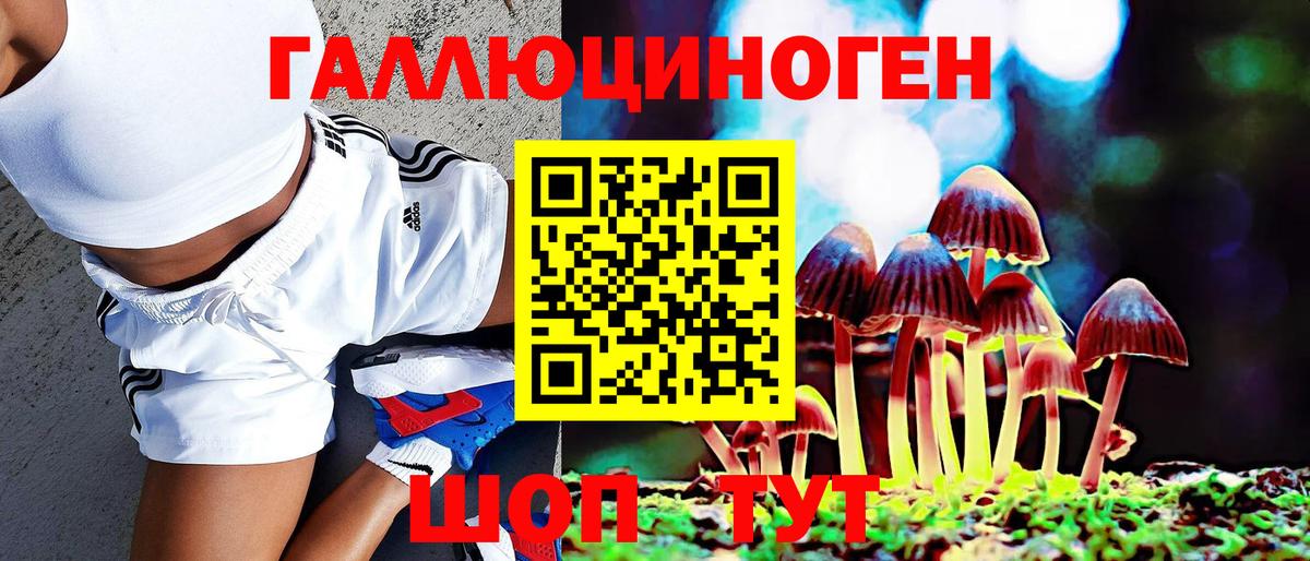 Галлюциногенные грибы мухоморы Кимовск